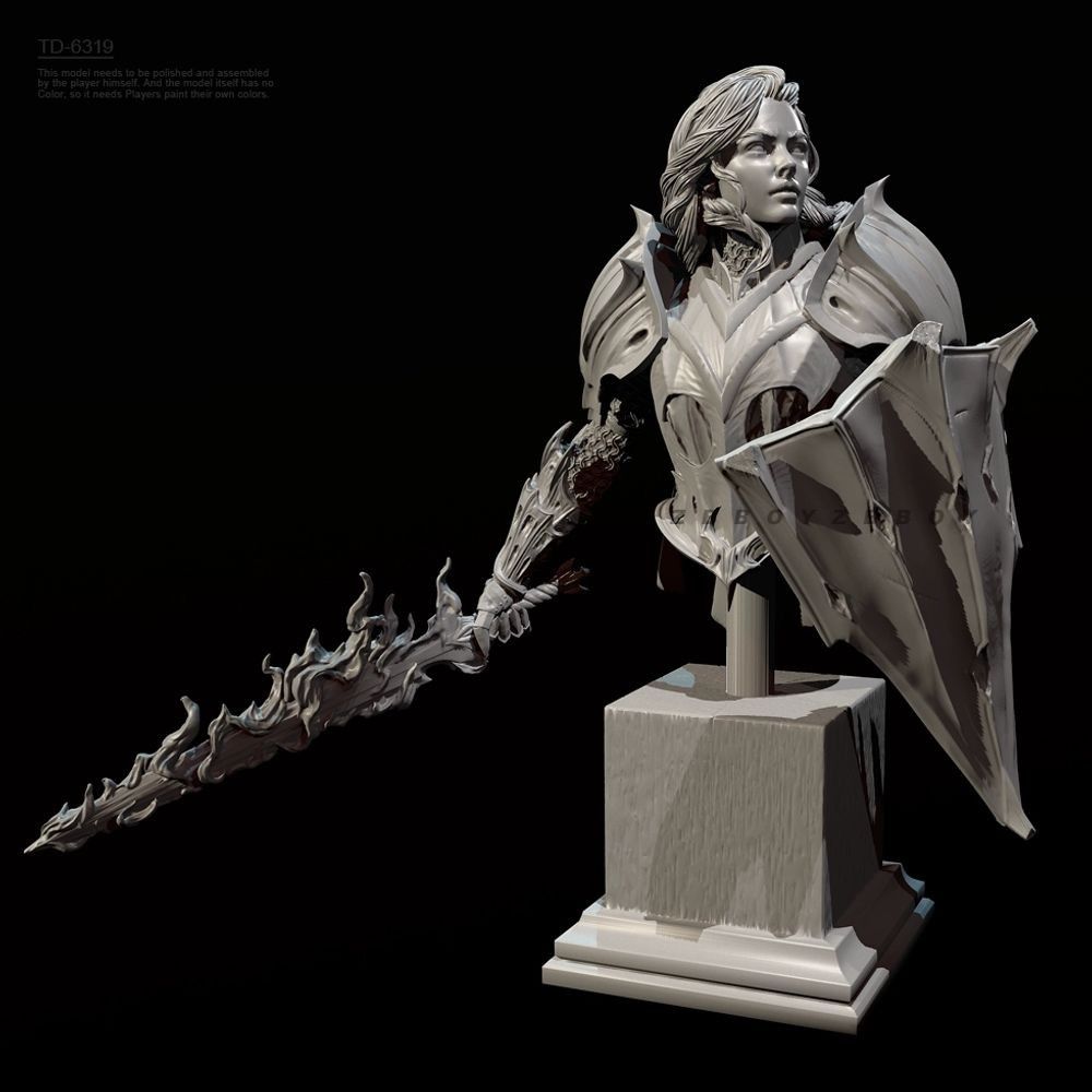 55mm 70mm Bust of A Female Kni - Model Kit Knight recension och pris